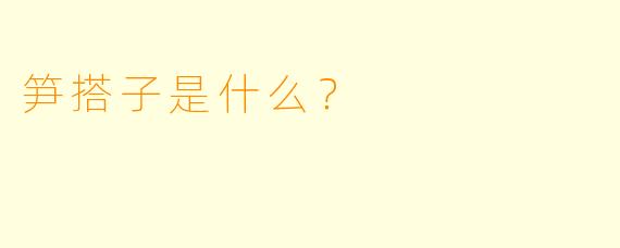 笋搭子是什么？