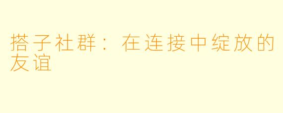 搭子社群：在连接中绽放的友谊