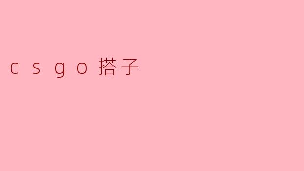 csgo搭子
