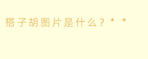 搭子胡图片是什么？**