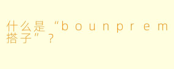 什么是“bounprem搭子”?