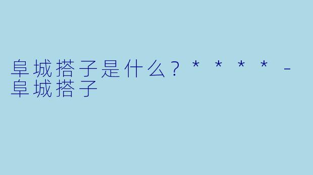 阜城搭子是什么？****