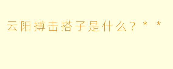 云阳搏击搭子是什么？**