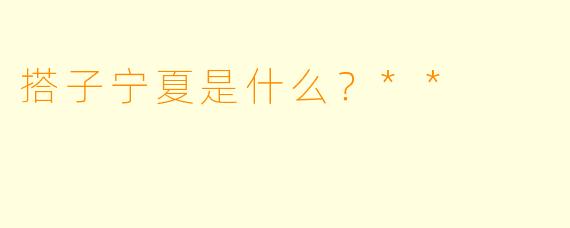 搭子宁夏是什么？**