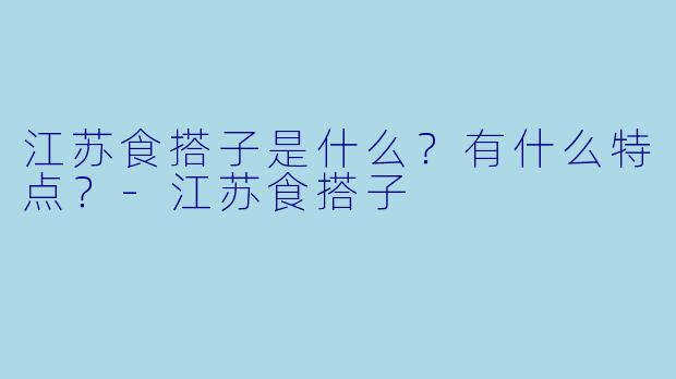 江苏食搭子是什么?有什么特点?