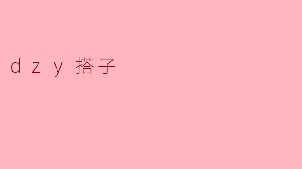 dzy搭子