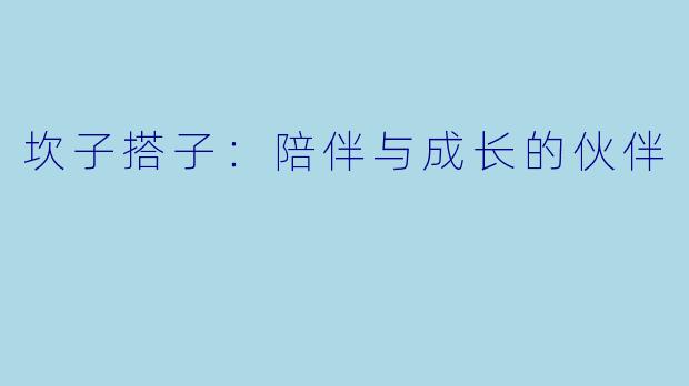 坎子搭子：陪伴与成长的伙伴