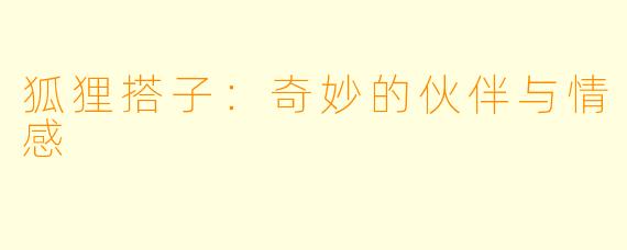 狐狸搭子：奇妙的伙伴与情感