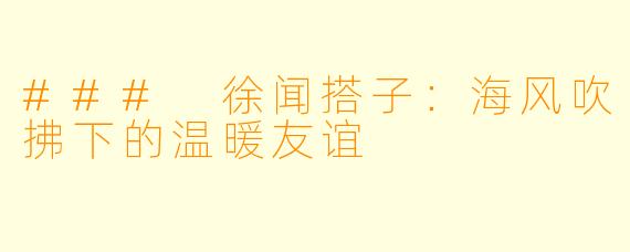 ### 徐闻搭子：海风吹拂下的温暖友谊