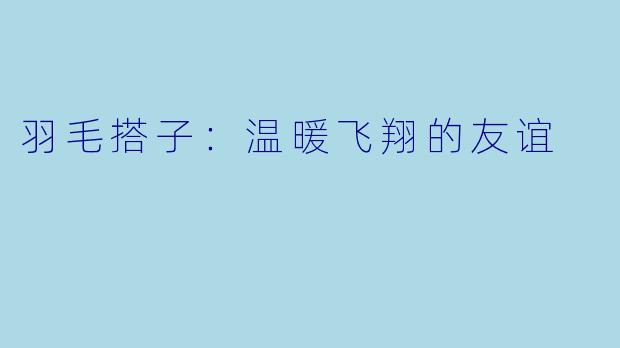 羽毛搭子：温暖飞翔的友谊