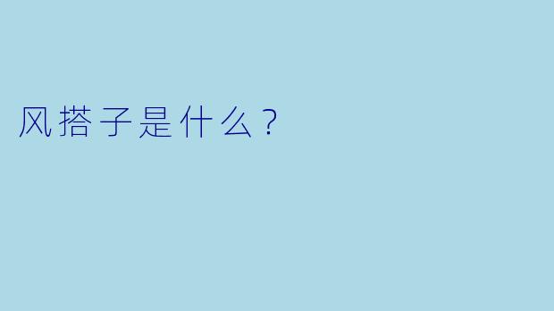 风搭子是什么？  