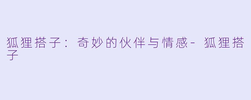 狐狸搭子:奇妙的伙伴与情感
