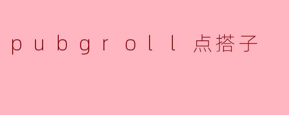 pubgroll点搭子