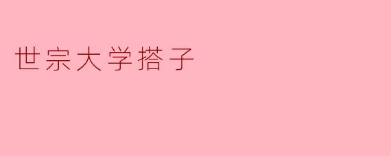 世宗大学的搭子服务是怎样帮助学生的？