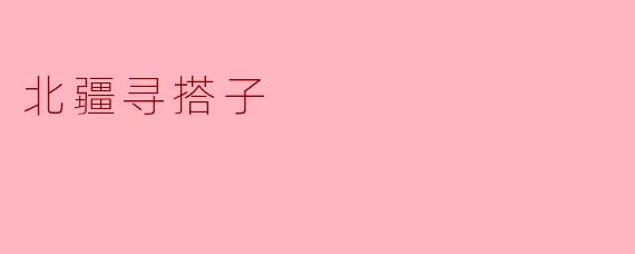 北疆寻搭子