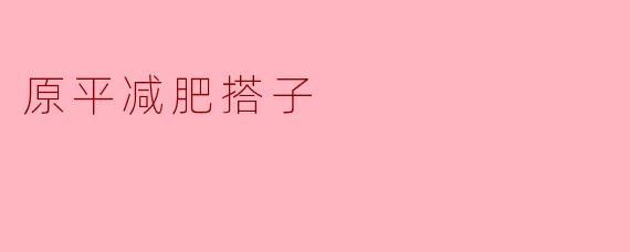 原平减肥搭子