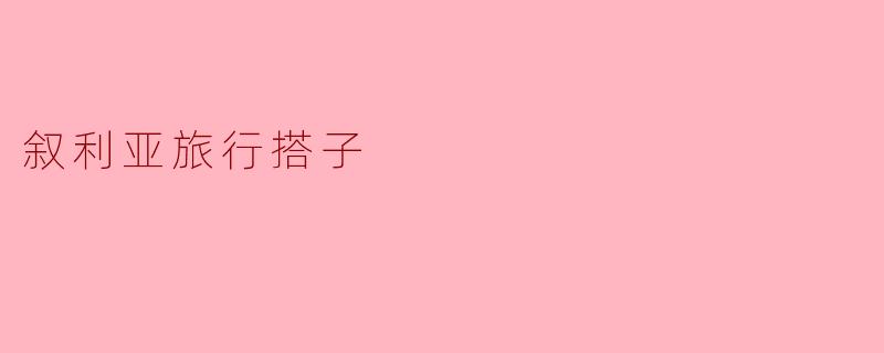 叙利亚旅行搭子