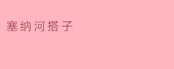 ### 塞纳河搭子:浪漫与回忆的交汇点