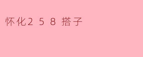 怀化258搭子是什么？  