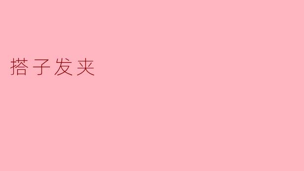 搭子发夹