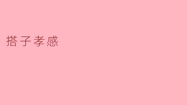 搭子孝感