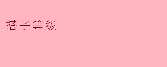 什么是“搭子等级”,它是如何影响人际关系的?