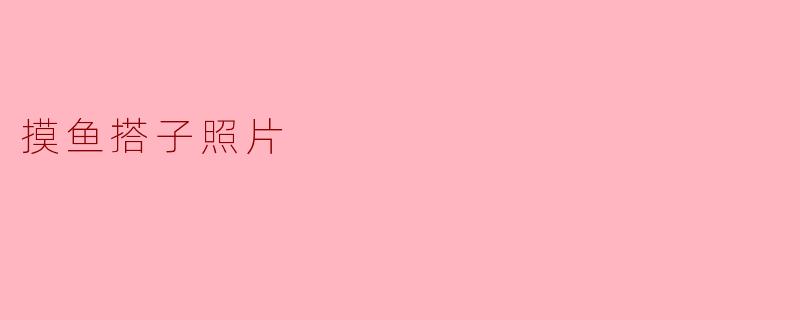 ### 摸鱼搭子照片:记录生活中的轻松时光