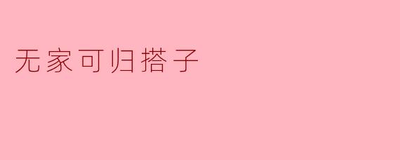 ### 无家可归的搭子:城市角落里的生存故事