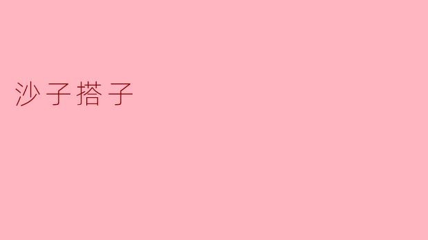 沙子搭子