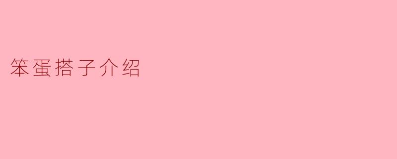 笨蛋搭子介绍