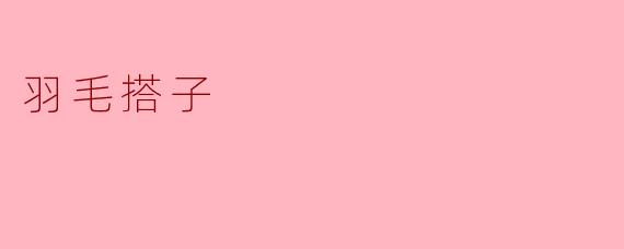 羽毛搭子:温暖飞翔的友谊