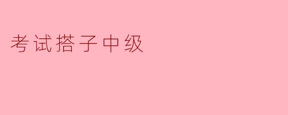 什么是考试搭子中级,如何选择合适的搭子?****