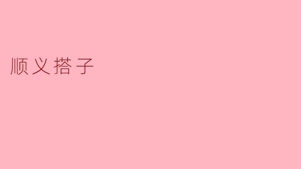 顺义搭子的独特魅力:社区生活的新模式