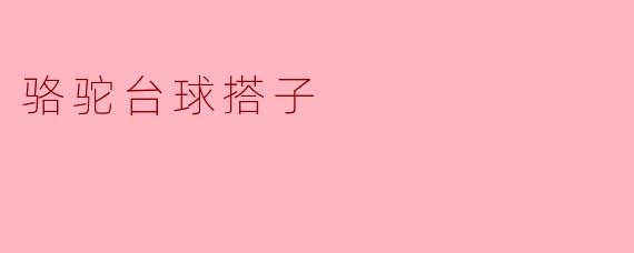 骆驼台球搭子
