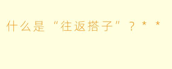 什么是“往返搭子”？**