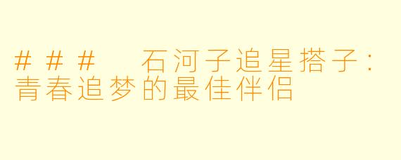 ### 石河子追星搭子:青春追梦的最佳伴侣