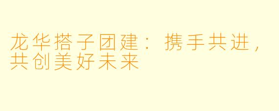 龙华搭子团建：携手共进，共创美好未来