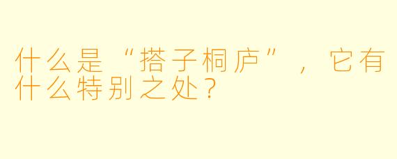 什么是“搭子桐庐”,它有什么特别之处?