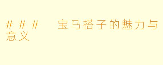 ### 宝马搭子的魅力与意义