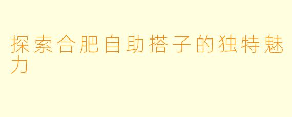 探索合肥自助搭子的独特魅力