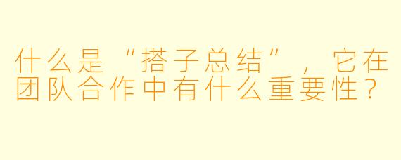 什么是“搭子总结”,它在团队合作中有什么重要性?