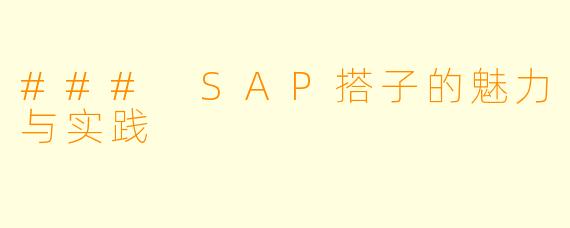 ### SAP搭子的魅力与实践