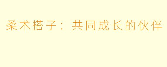 柔术搭子:共同成长的伙伴