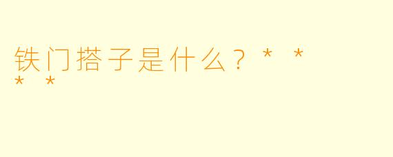 铁门搭子是什么？**  **
