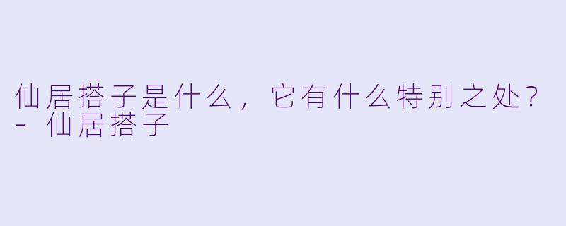 仙居搭子是什么，它有什么特别之处？