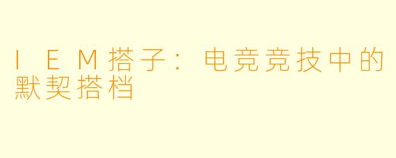 IEM搭子：电竞竞技中的默契搭档