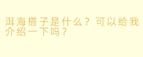 洱海搭子是什么?可以给我介绍一下吗?