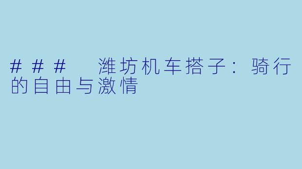 ### 潍坊机车搭子:骑行的自由与激情