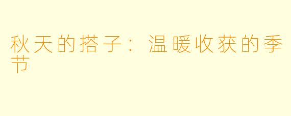 秋天的搭子：温暖收获的季节