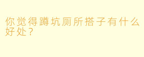 你觉得蹲坑厕所搭子有什么好处？